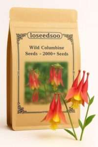 2000+ Wild Columbine Seeds for Planting, Aquilegia Canadensis Flower Seeds, Perennial Hummingbird & Butterfly Garden Flowers, Shade Tolerant Outdoor Garden Seeds
