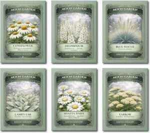 Raven Hollow Moon Garden Collection Seed Pack Set, 6 Perennial Flower Varieties, White Blooms & Silver Foliage for a Luminous Garden
