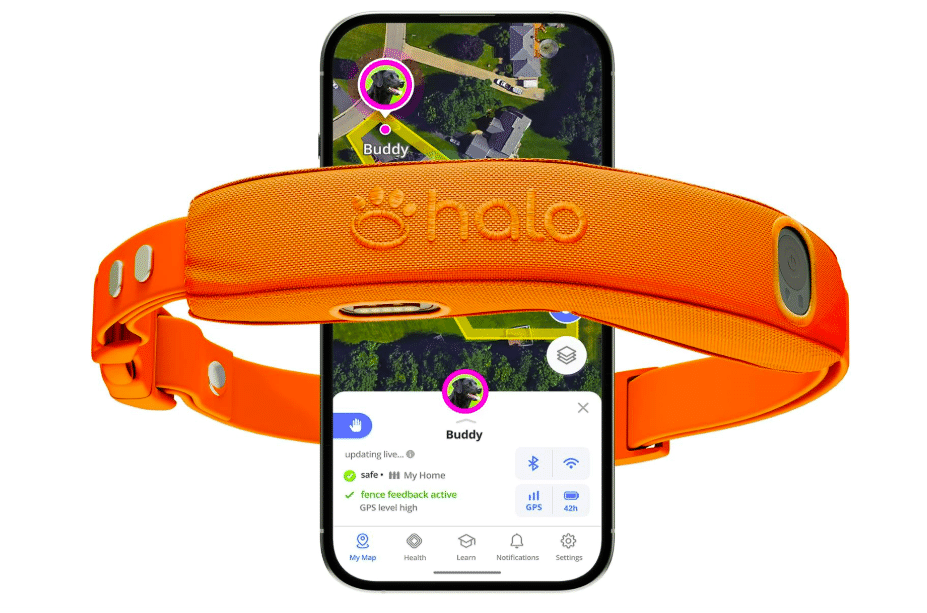 Halo Collar 5 Wireless GPS Dog Fence
