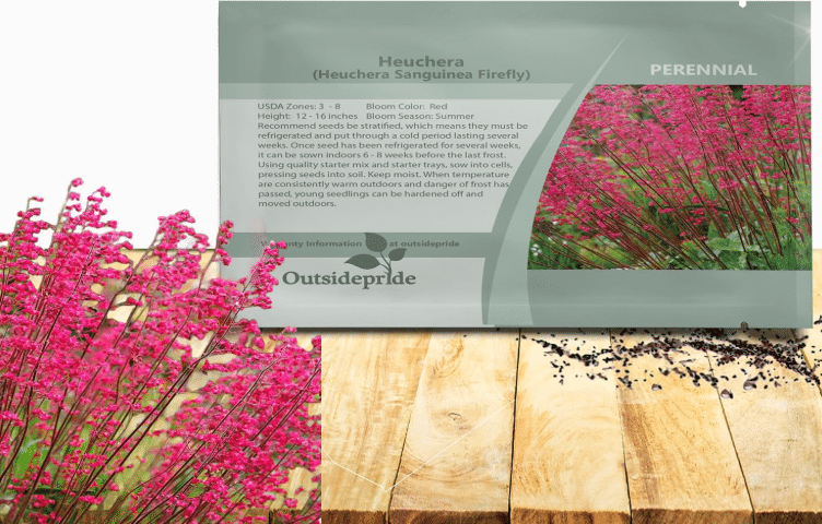 Heuchera (Coral Bells) – Best for Year-Round Foliage Color