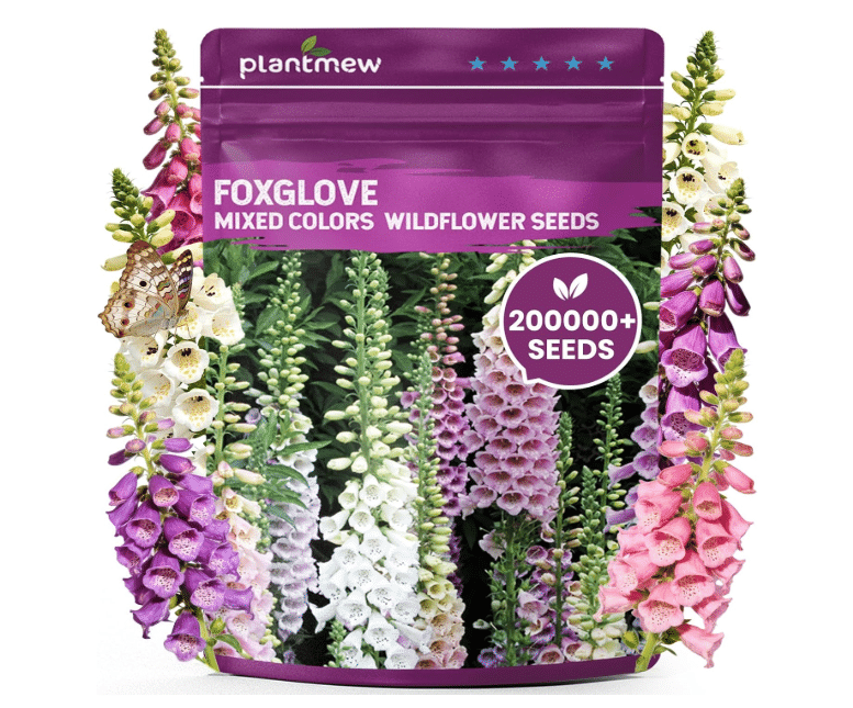 Digitalis (Foxglove) – Best Vertical Accent