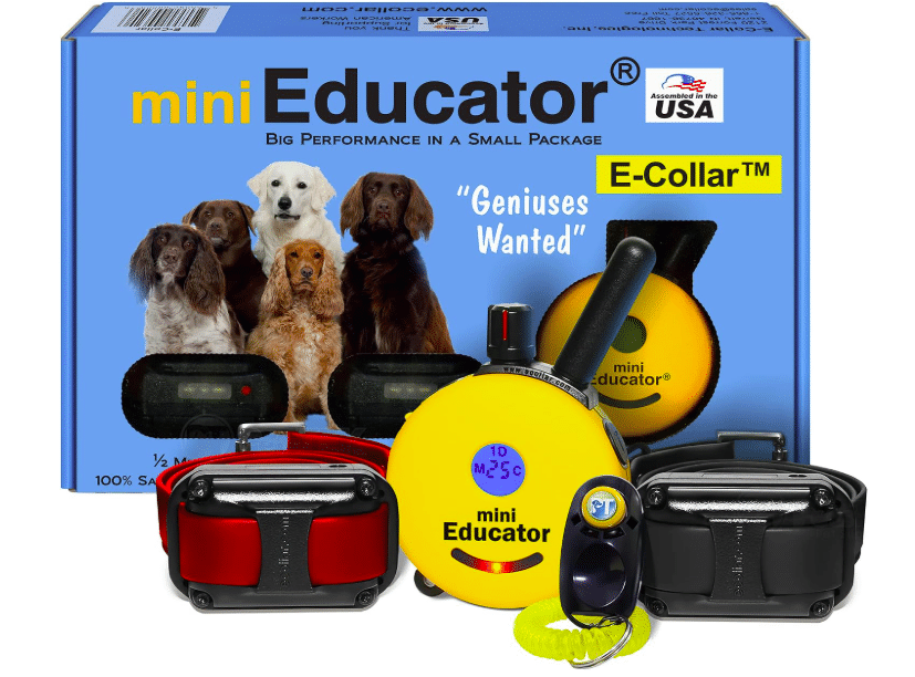 Educator E-Fence PF-1000