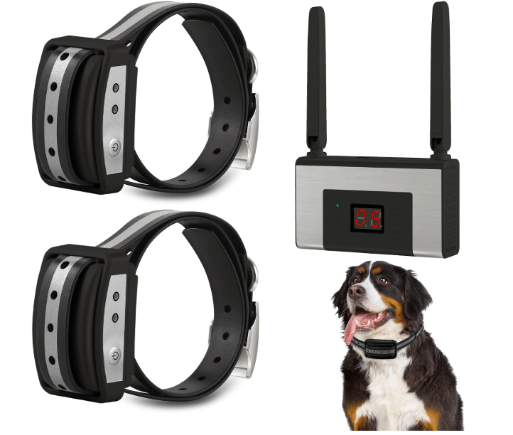 FOCUSER In-Ground Dog Fence