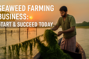 Seaweed Farming Business: Start & Succeed Today