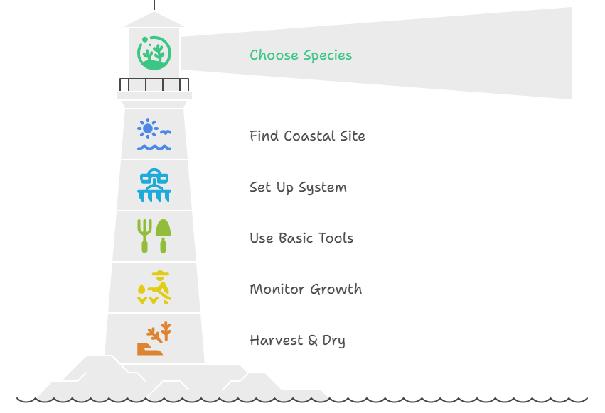 Recap: Your Seaweed Startup Checklist