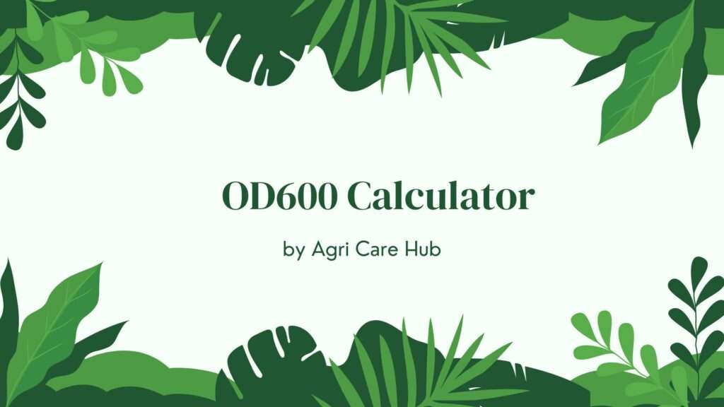 OD600 Calculator