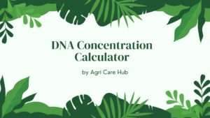 DNA Concentration Calculator