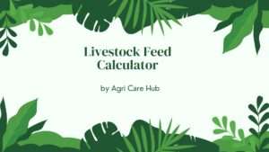 Livestock Feed Calculator