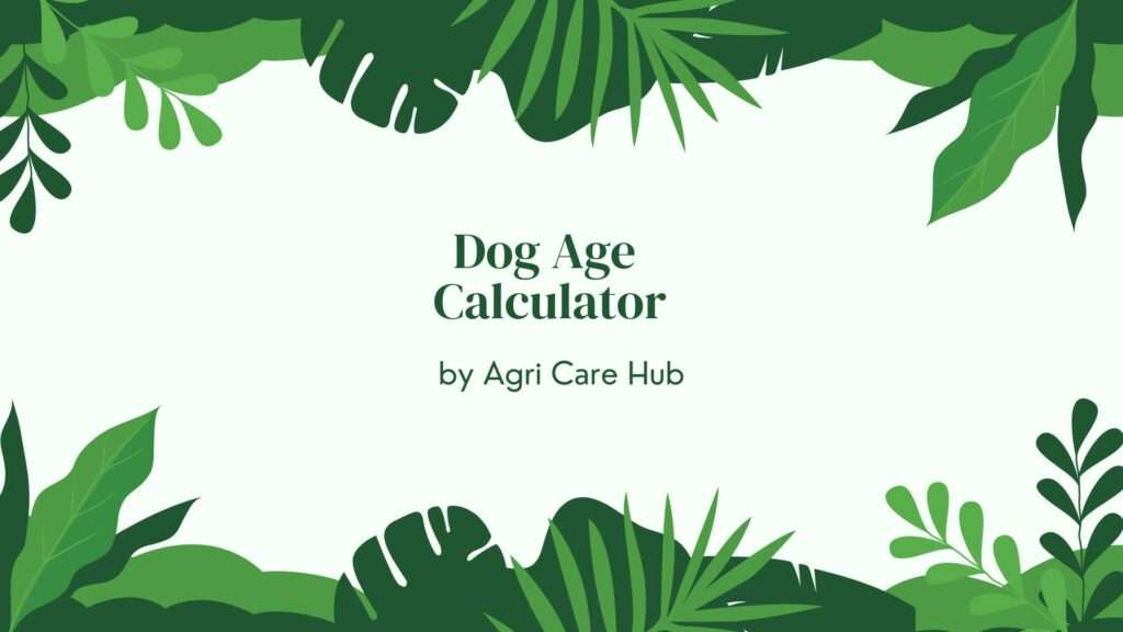 Dog Age Calculator