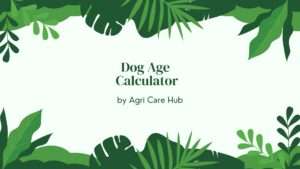 Dog Age Calculator