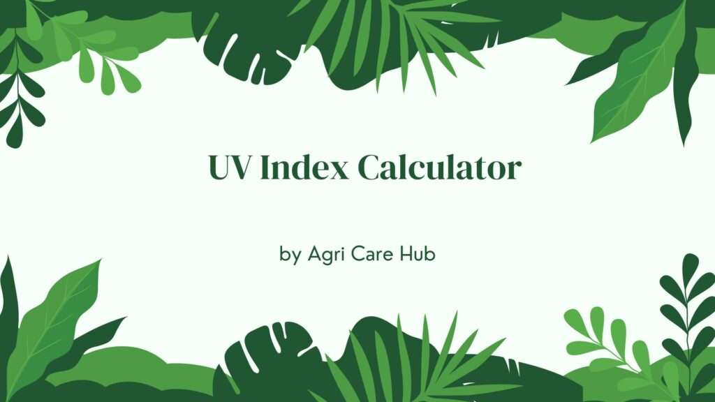 UV Index Calculator