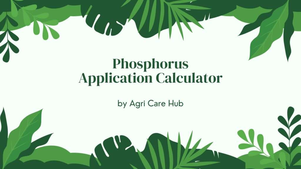 Phosphorus Application Calculator