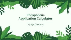 Phosphorus Application Calculator