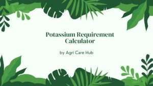 Potassium Requirement Calculator