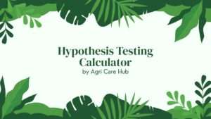 Hypothesis Testing Calculator