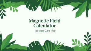 Magnetic Field Calculator