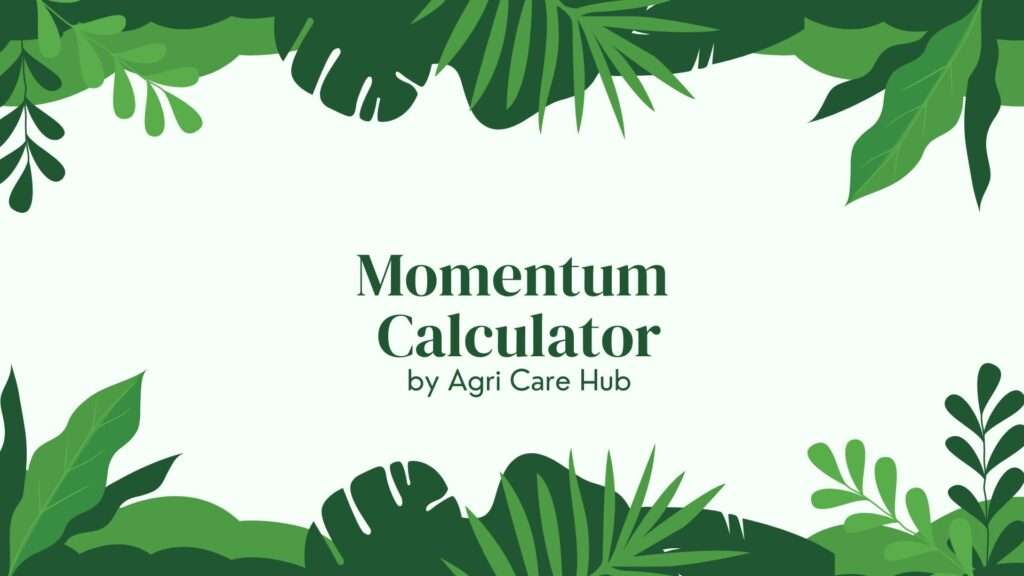 Momentum Calculator