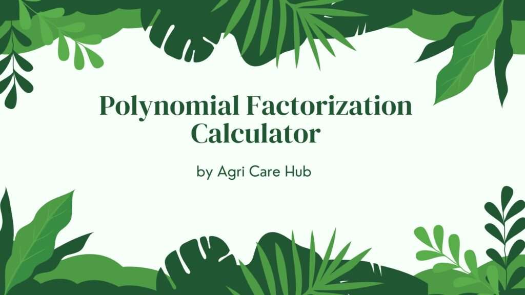 Polynomial Factorization Calculator