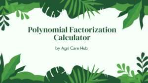 Polynomial Factorization Calculator