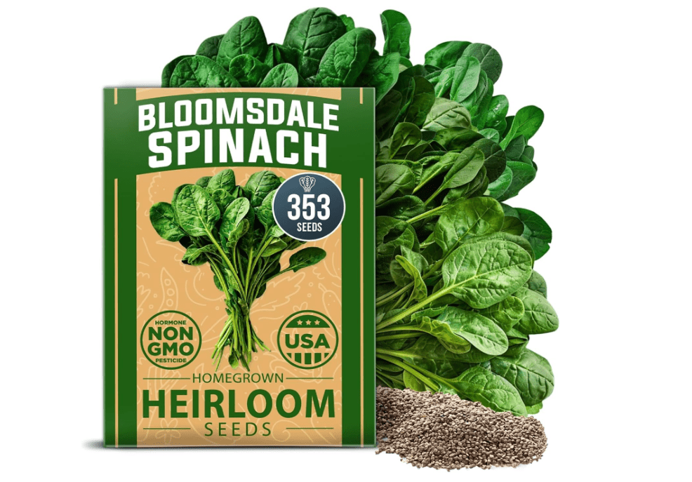 HOME GROWN 𝗨𝗦𝗔 𝗣𝗥𝗘𝗠𝗜𝗨𝗠 Bloomsdale Spinach Seeds Pack – 353 Heirloom 𝗡𝗢𝗡-𝗚𝗠𝗢 Seeds – High Germination Spinach for Indoor, Outdoor, Hydroponic... 