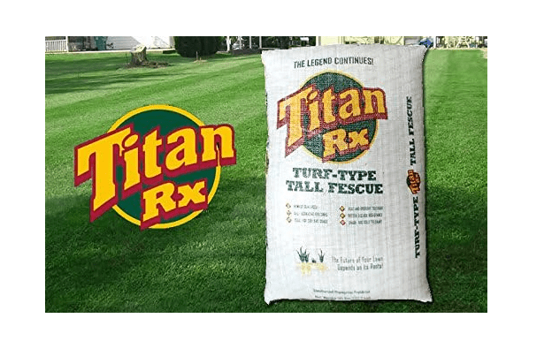  SeedRanch Titan Rx (Ultra) Tall Fescue Grass Seeds - 50 Lbs