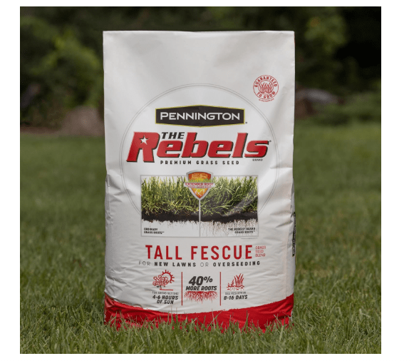 Pennington The Rebels Tall Fescue Grass Seed Mix 40 lb
