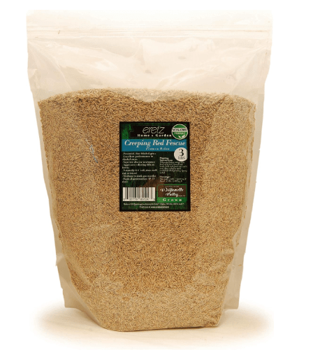  Creeping Red Fescue Seed by Eretz (3lb) - Choose Size! Willamette Valley Oregon Grown, No Fillers, No Weed or Other Crop Seeds, Premium Shade Grass Seed.