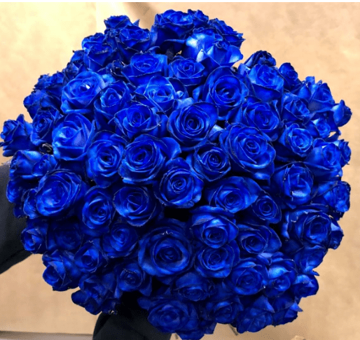 Blue Rose Seeds for Planting - 100+ Hybrid Rare Rose Seeds Perennial Shrub Garden Yard Potted Decoration