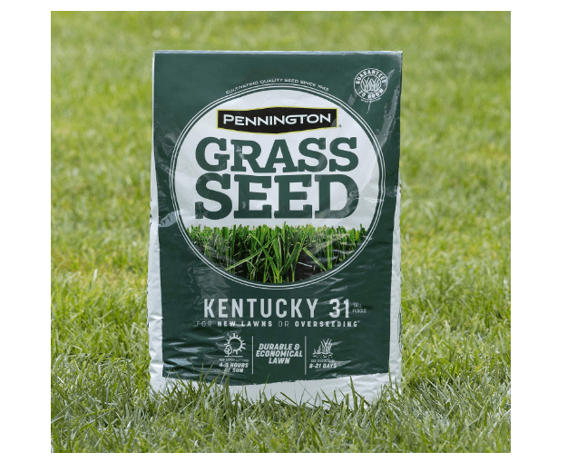  Pennington Kentucky 31 Tall Fescue Penkoted Grass Seed 40 lbs