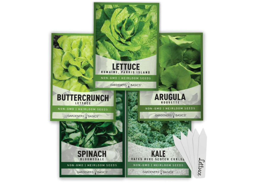 Gardeners Basics Lettuce and Greens Heirloom Vegetable Seed Non-GMO Seeds for Planting Indoors and Outdoor - Lettuce Buttercrunch, Romaine, Arugula, Kale 