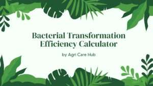 Bacterial Transformation Efficiency Calculator