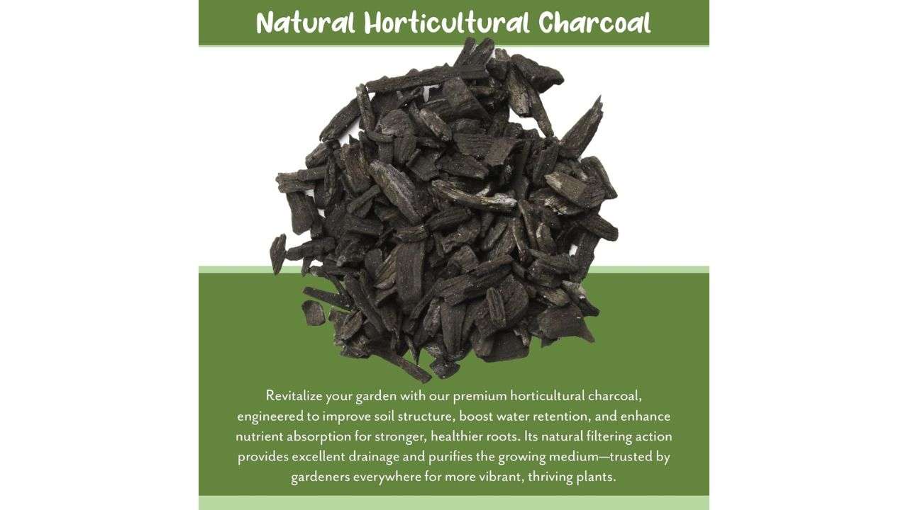 Horticultural Charcoal for Indoor Plants (2 Quarts), Hardwood Soil Additive for Orchids, Terrariums, and Gardening