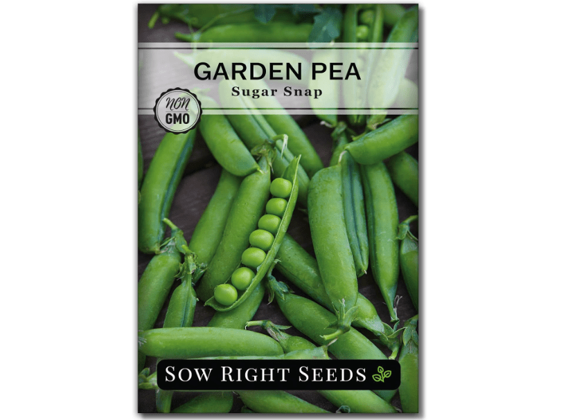 Sow Right Seeds - Sugar Snap Pea Seeds for Planting - Non-GMO Heirloom Packet with Instructions to Plant a Home Vegetable Garden - Grow Tons of Delicious 