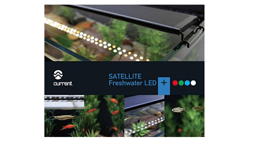 Current USA Satellite Freshwater LED Plus Light for Aquarium, 24 to 36-Inch 