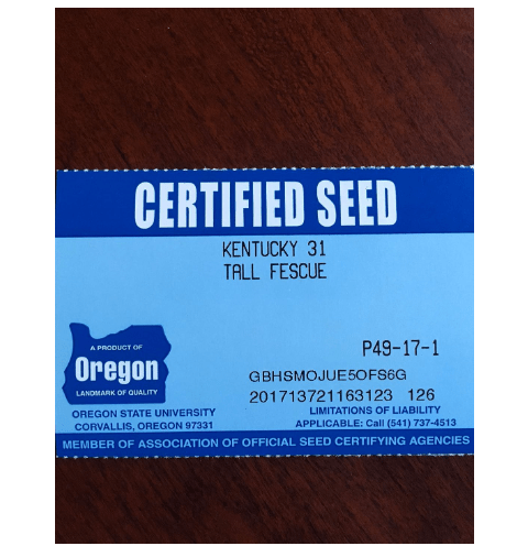  Kentucky 31 K31 Tall Fescue Grass Seed by Eretz - Choose Size! State Certified, No fillers, No Weed or Other Crop Seeds (5lbs)