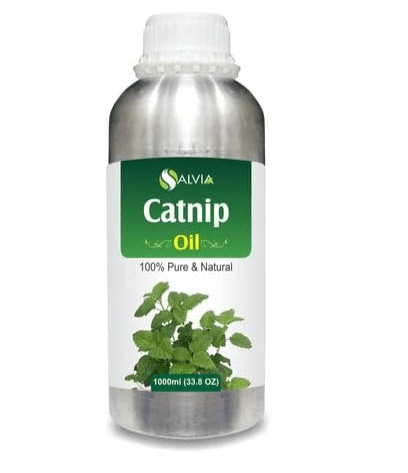 Bulk Catnip (Nepeta cataria) Essential Oil 100% Pure & Natural Undiluted Uncut Oil | Use for Aromatherapy (1L)