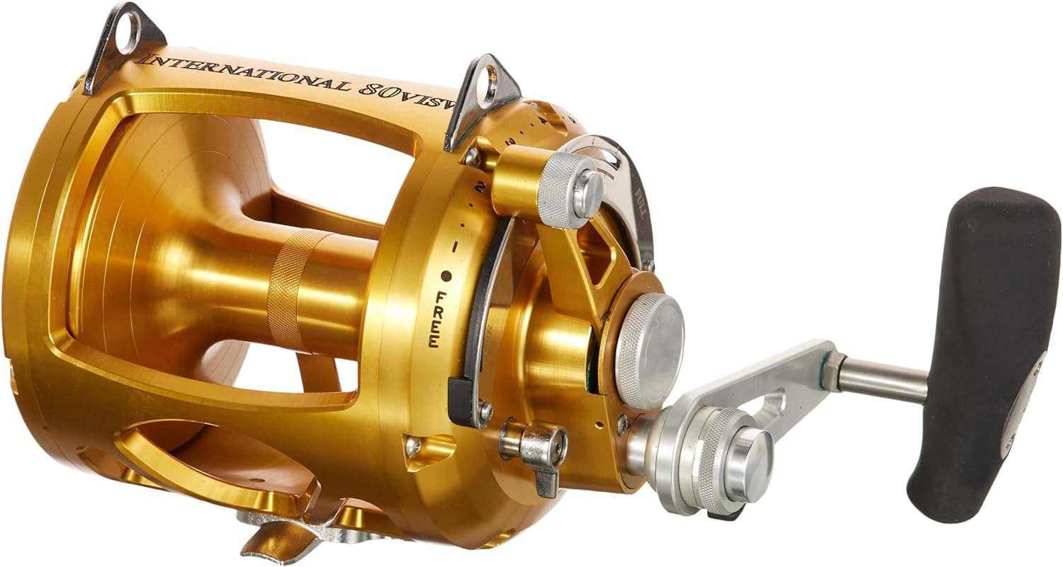 Penn International VI Conventional Fishing Reels (All Models & Sizes)
