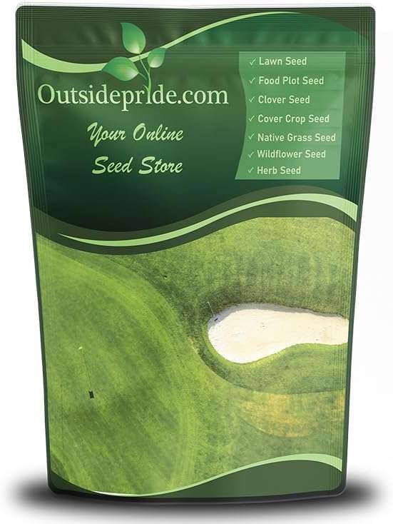 Outsidepride Oasis Bermuda Grass Seed - 10 lbs Warm Season, High Traffic, Heat Resistant, Drought-Tolerant, Low-Maintenance