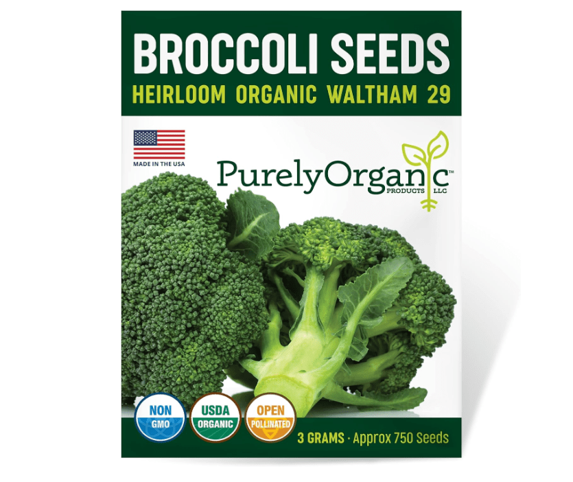 Purely Organic Broccoli Seeds (Waltham 29) - Approx 750 Seeds - USDA Organic, Non-GMO, Open Pollinated, Heirloom, USA Origin 