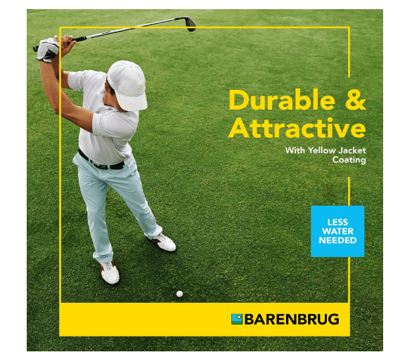  Barenbrug Turf Saver RTF Grass Seed with Yellow Jacket Seed Coating - Less Water Self-Repairing Tall Fescue Turf for Use on Sports Field, Golf Courses,...