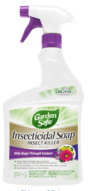 Garden Safe Insecticidal Soap, 32 oz Ready-to-Use
