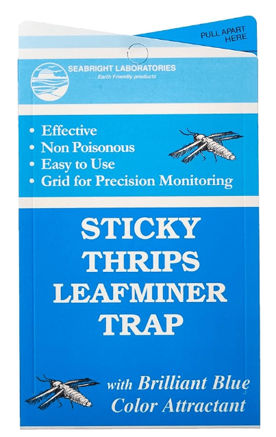 Seabright Sticky Thrip Leafminer Trap, Pack of 5