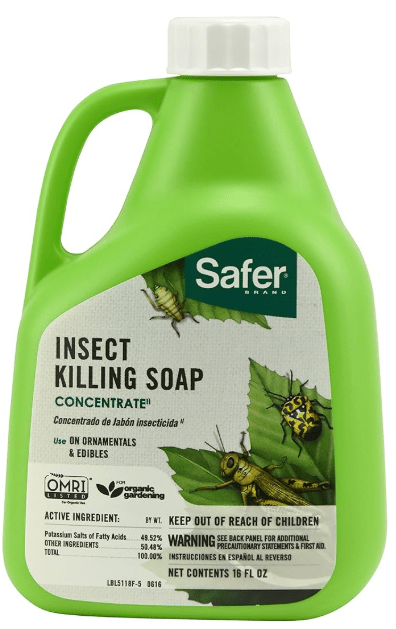 Safer Brand Insect Killing Soap Concentrate, 16 oz