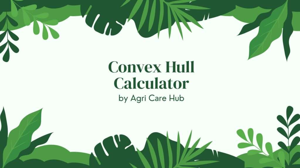 Convex Hull Calculator