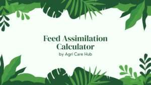 Feed Assimilation Calculator