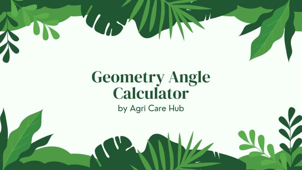Geometry Angle Calculator