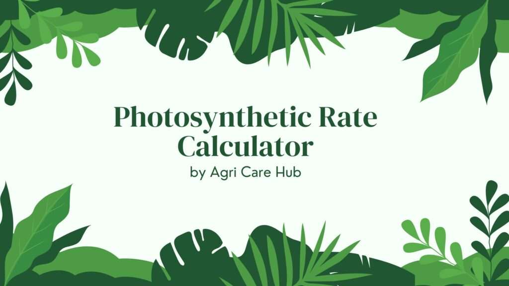 Photosynthetic Rate Calculator