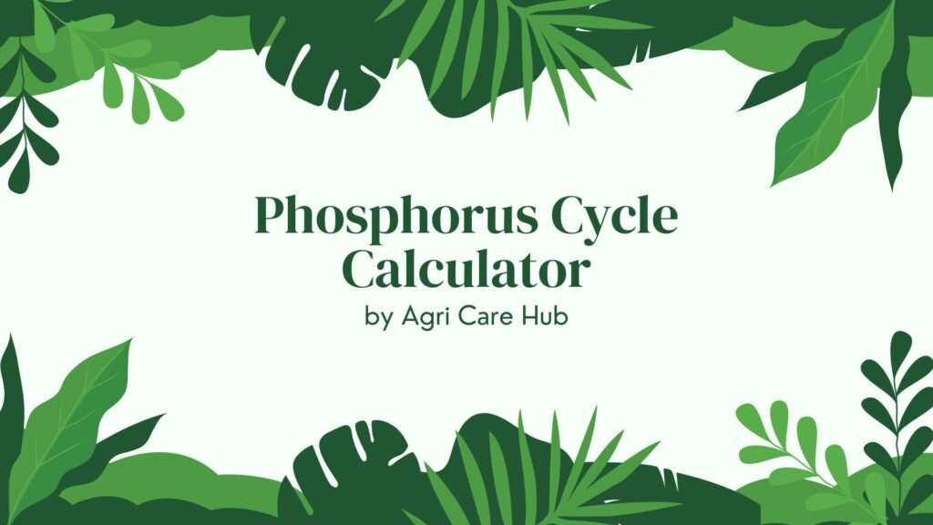 Phosphorus Cycle Calculator