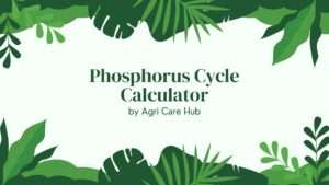 Phosphorus Cycle Calculator