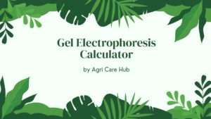 Gel Electrophoresis Calculator
